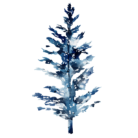 Winter tree watercolor png