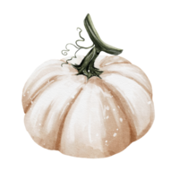 höst pumpor vattenfärg png