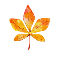 aquarelle de feuilles d'automne png