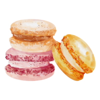 aquarela de sobremesa de macaron png