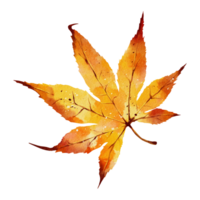 autunno foglia acquerello png