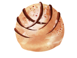 aguarela do doce branco chocolate png