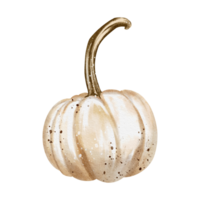 höst pumpor vattenfärg png