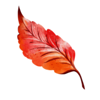 autunno foglia acquerello png