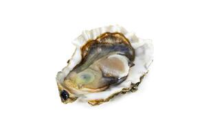 Fresh raw oyster on white or invisible png background photo