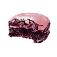 macaron dessert aquarelle png