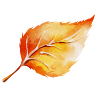 aquarelle de feuilles d'automne png