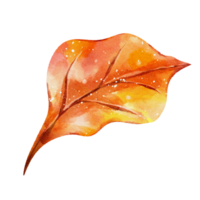 aquarelle de feuilles d'automne png