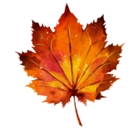 Autumn leaf watercolor png