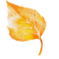 aquarelle de feuilles d'automne png