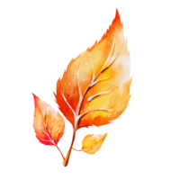 Autumn leaf watercolor png