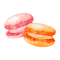 acquerello di dessert macaron png