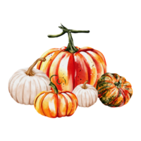 l'automne citrouilles aquarelle png