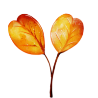 Autumn leaf watercolor png