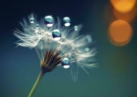 Beautiful dew drops on a dandelion seed macro. Beautiful blue background. Generative AI photo