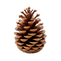 Pine cone isolated on transparent background AI Generative png