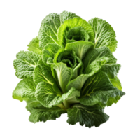 Lettuce salad isolated on transparent background, created with generative AI png