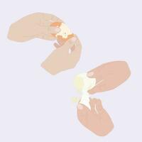 Chicken eggs with broken shells. Hands peel eggs. Chicken boiled egg. Vector illustration