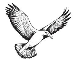 Sea Gull face sketch hand drawn Vector illustration Birds