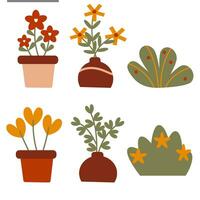 plant illustration and Houseplant in pots. vector