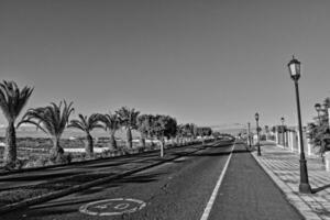 wide asphalt road on the Spanish Canary Island Fuerteventura with palm trees photo