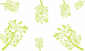 Vector illustration, yellow leaves that are drying due to the long dry season