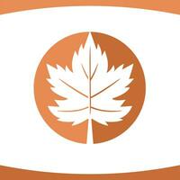 Maple Leaf Round Circle Logo Vector