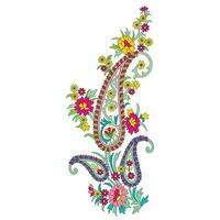 A colorful floral paisley design on a white background vector