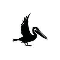 black and white Pelican vector silhouette. Isolated pelican on white background