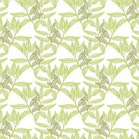 A green leafy vine jaal pattern on a white background vector