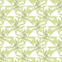 A green leafy vine jaal pattern on a white background vector