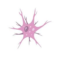 Neuron cell. Brain activity and dendrites. Membrane and the nucleus. Medical Concept of memory and connection. Educational illustration isolated on white vector