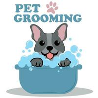 Pet Grooming for Dogs and Cats. For a Beauty Salon for Poster or Banner. Vector illustration