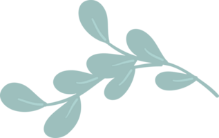 Christmas leaf element decoration png