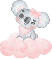 Baby Koala auf Wolke png