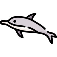 dolphin icon design png