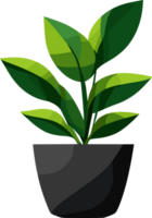 ornamental planta en maceta ai generativo png