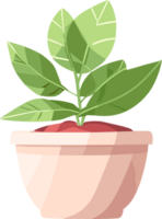 ornamental planta en maceta ai generativo png