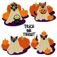 A set of cats in a sheet and glasses for Halloween on a background of pumpkins. Cute black cat in blue glasses with different elements. Funny costume. Flat vector illustration on a white. Costume