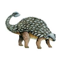 Hand drawn brown gray watercolor Ankylosaurus dinosaur vector illustration. Prehistoric herbivorous animal from Cretaceous