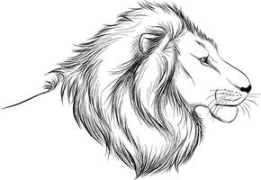 ilustración de un león vector