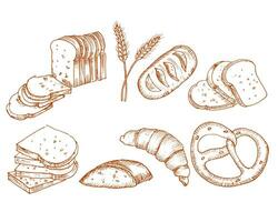 Hand Drawn Bread and Wheat Grass Set vector