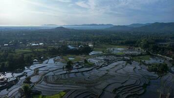 Aerial view of rice terraces in the mountains of northern Thailand. Beautiful scenery of the terraced farming season. photo