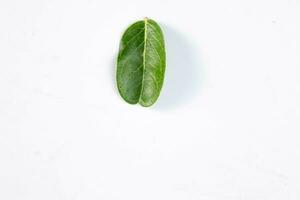 One green leaf of a tropical tree isolated on white background. photo