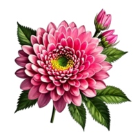 Pink flower with leaf style isolated on a transparent background AI Generative png