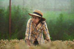 Sad woman farmer looking at dead seedlings in nursery. Failure concept of gardening. photo