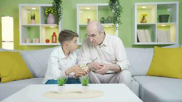 The child playing with the intelligence cube tries to solve it with the help of his grandfather. video