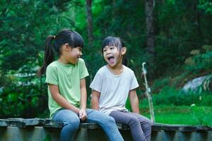 linda asiático muchachas sentado juntos en de madera puente. dos contento joven linda muchachas son teniendo divertido al aire libre. asiático hermanos jugando en el jardín. foto