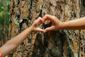 Close up of hands of child and mother forming a heart shape on a tree trunk. A family of environmentalists making heart-shaped fingers on a pine tree. Love and protect nature concept. photo