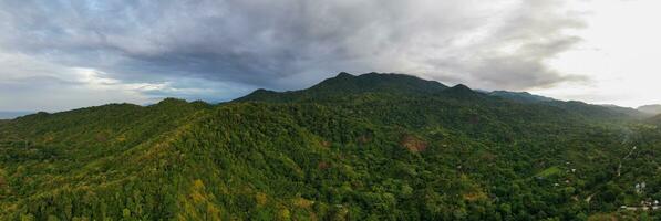 Nature - Santa Marta, Colombia photo